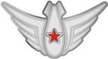 Знак Выпускник ВВВАУШ